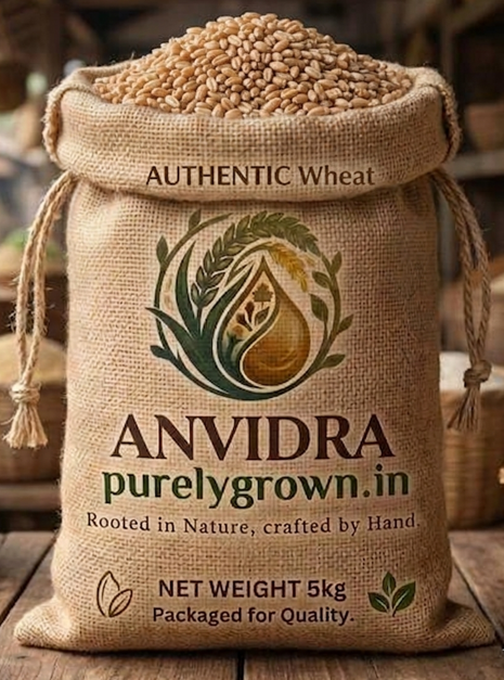Wheat